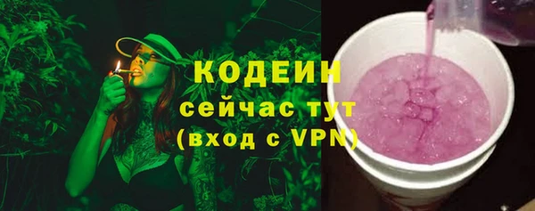 мдпв Инсар