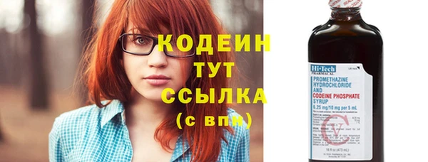 мдпв Инсар