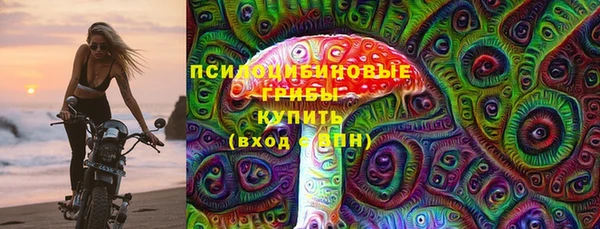 мдпв Инсар