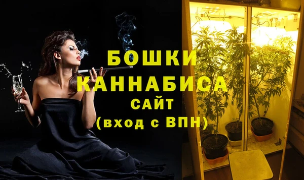 гидропоника Иннополис
