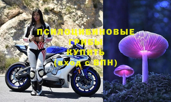 мдпв Инсар
