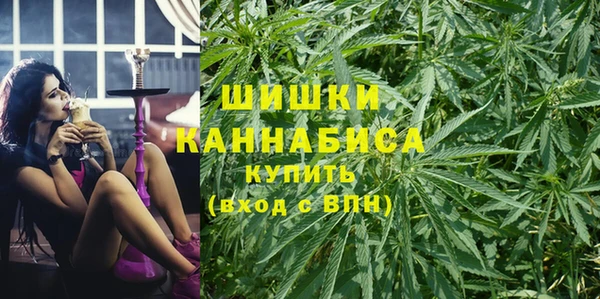 мдпв Инсар