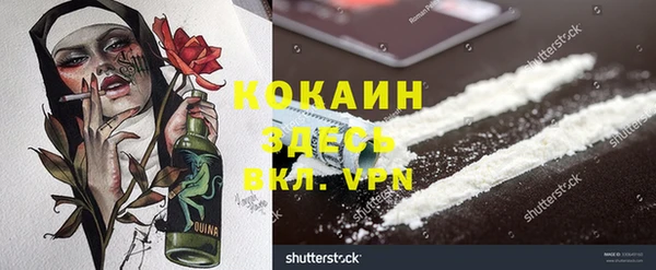 мдпв Инсар