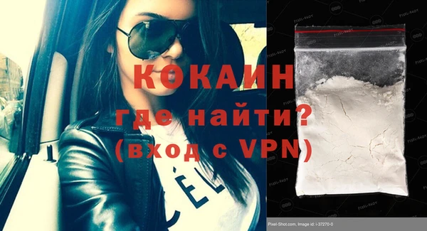 мдпв Инсар