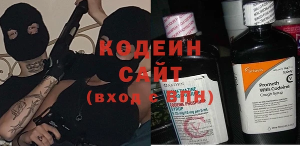 мдпв Инсар