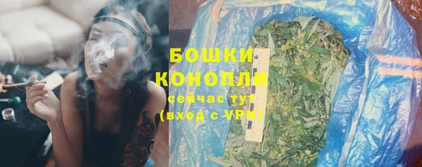 мдпв Инсар