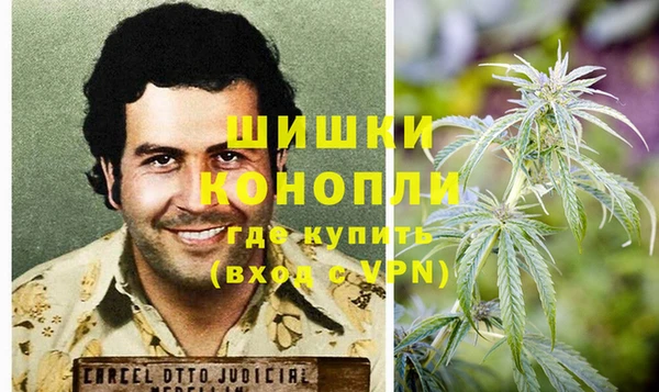 гидропоника Иннополис