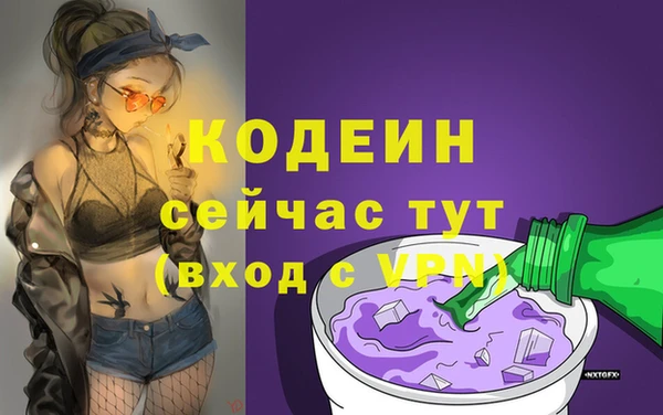 мдпв Инсар