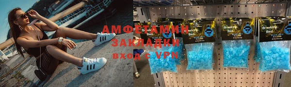мдпв Инсар