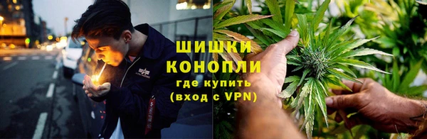 гидропоника Иннополис
